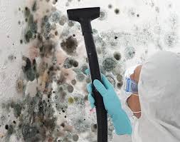 Best Mold Prevention Services  in Wolfe City, TX